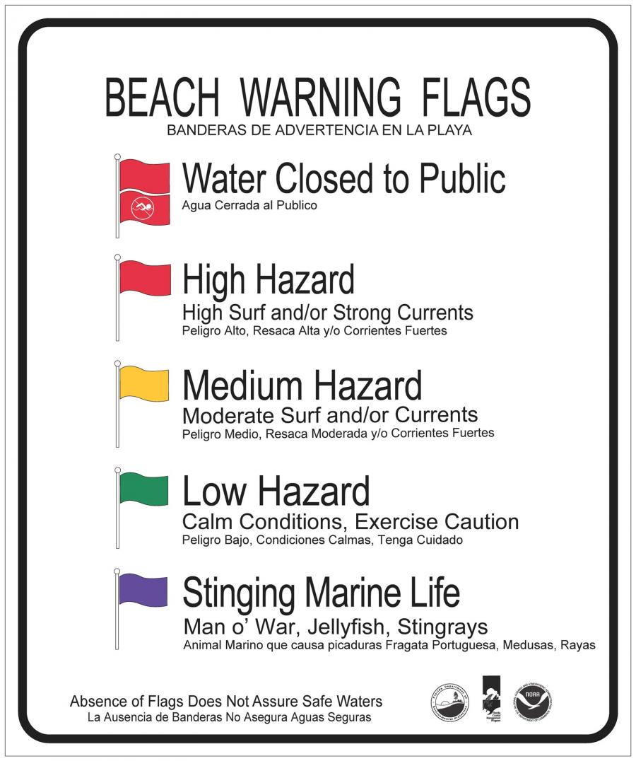 Lifeguard Flag 