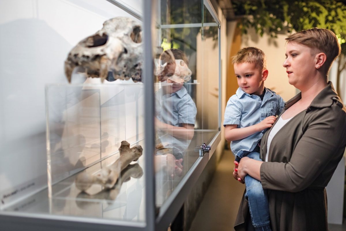 mother and son view fossilized bones in museum.