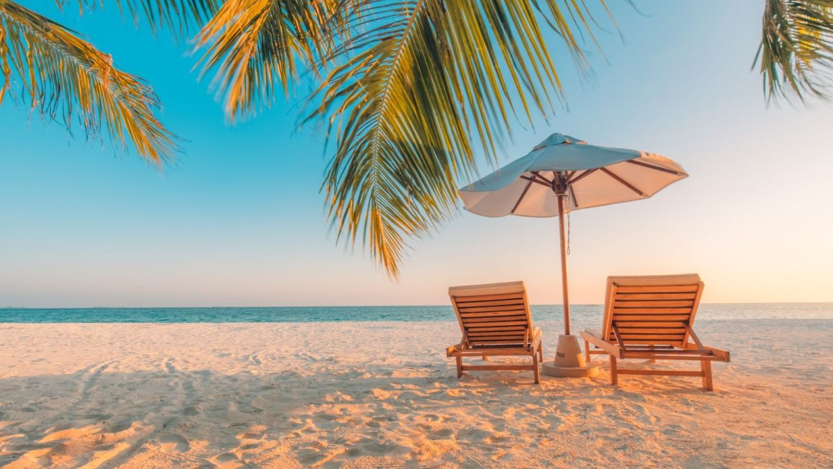 beach scene with palm tree and chairs