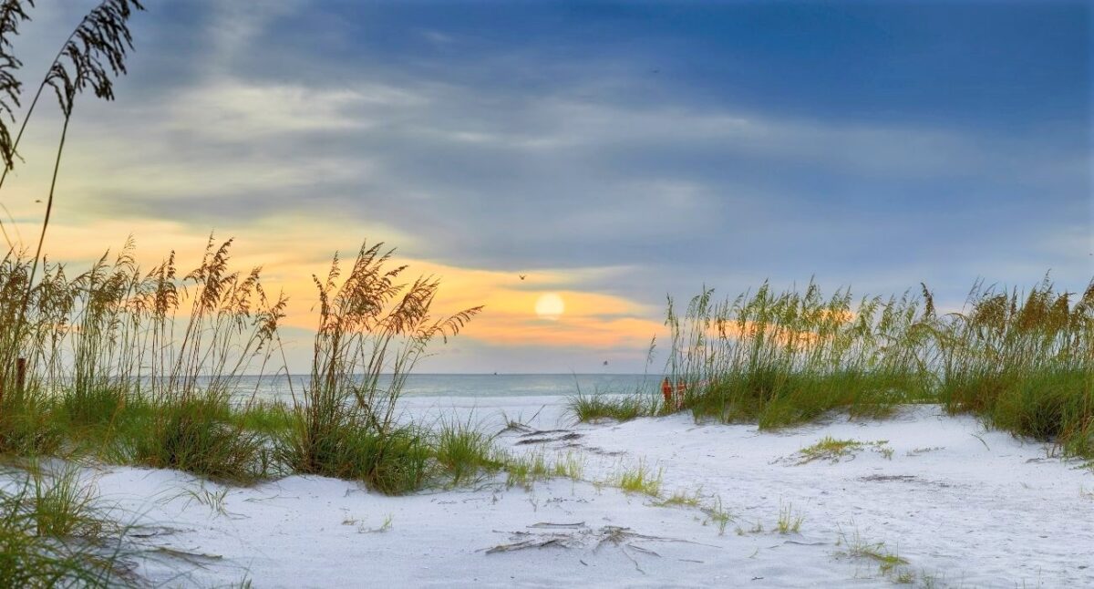 walk way on to beach