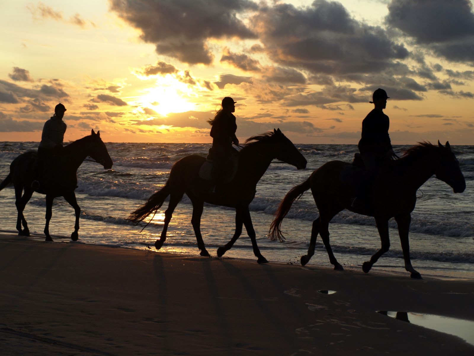 horseback riding sunset