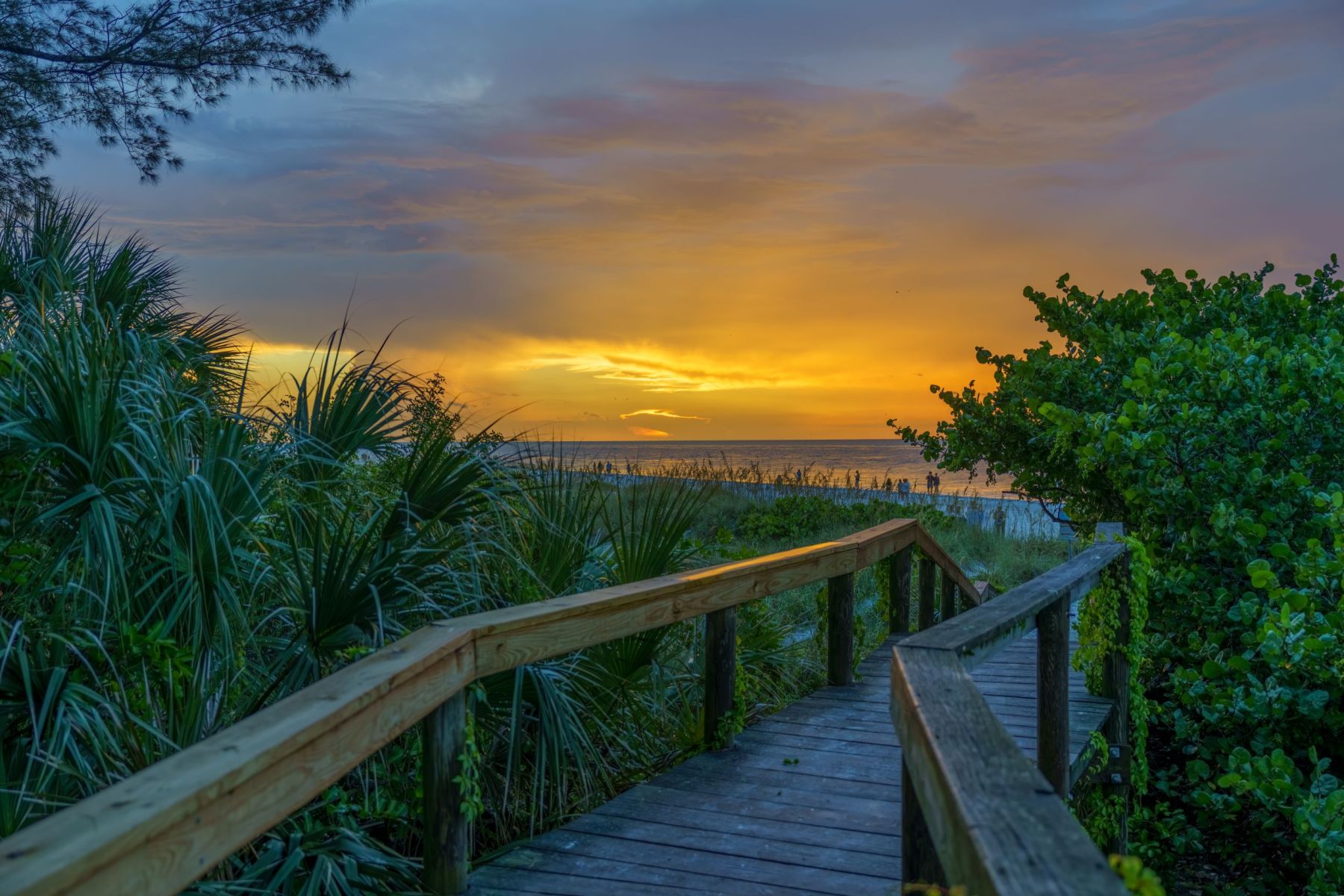 A wooden boardwalk path leads through lush tropical greenery toward a spectacular golden sunset over the Gulf of Mexico. This serene evening scene captures the breathtaking coastal beauty and direct beach access available to guests staying with A Paradise Vacation Rentals on Anna Maria Island.