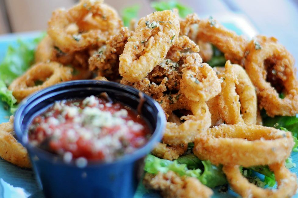 calamari up close
